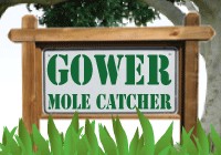 Gower Mole Catcher 371555 Image 1